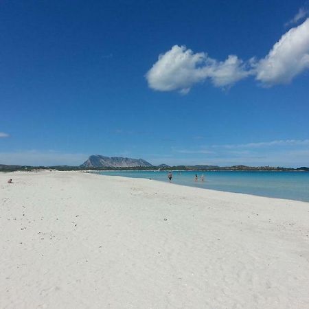 casa vacanza San Teodoro  Esterno foto